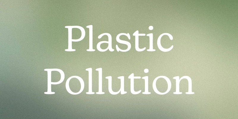 The history of plastics and environmental facts
