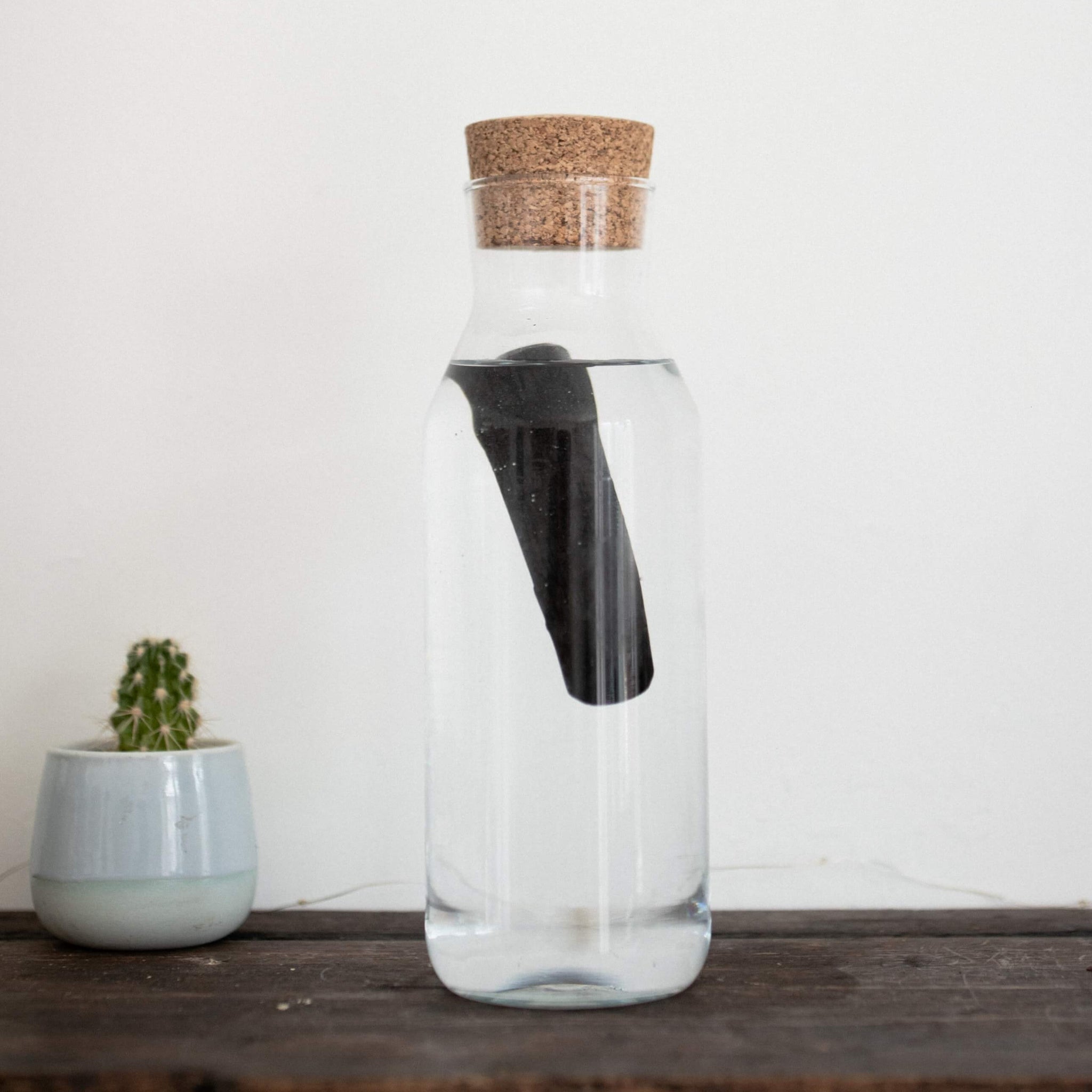 Black Activated carbon water filter in glass water bottle