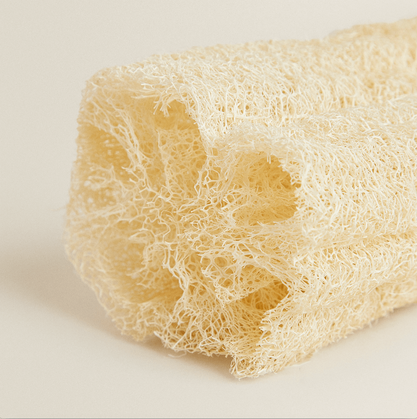 close up of luffa sponge